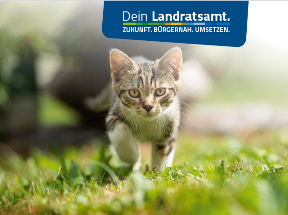 Katze.png  
