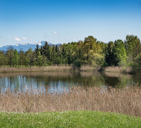 Kohlenweiher.jpg  