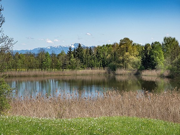 Kohlenweiher.jpg  