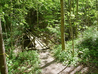 alpiniwegboebingerbrueckeanfang.jpg